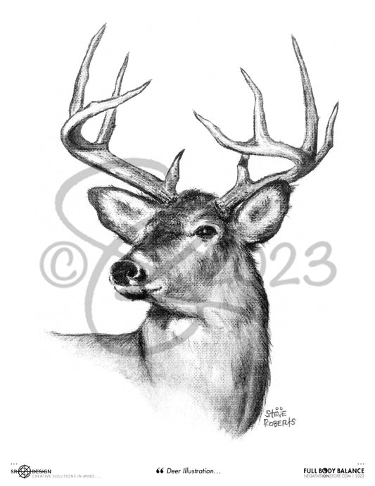 SR Designs  |  Deer Illustration