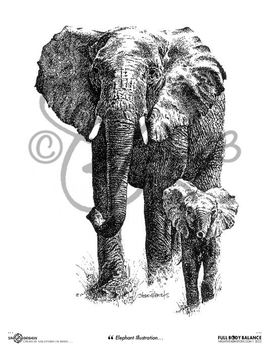 SR Designs  |  Elephant Illustration