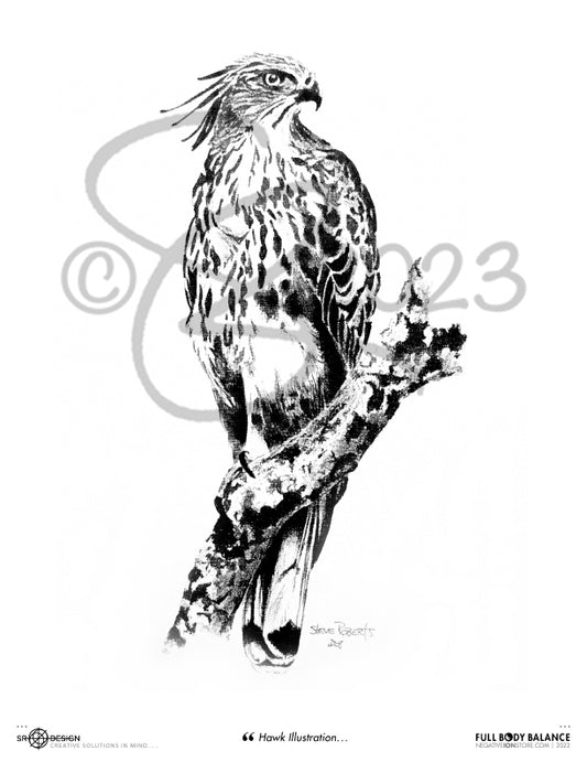 SR Designs  |  Hawk Illustration
