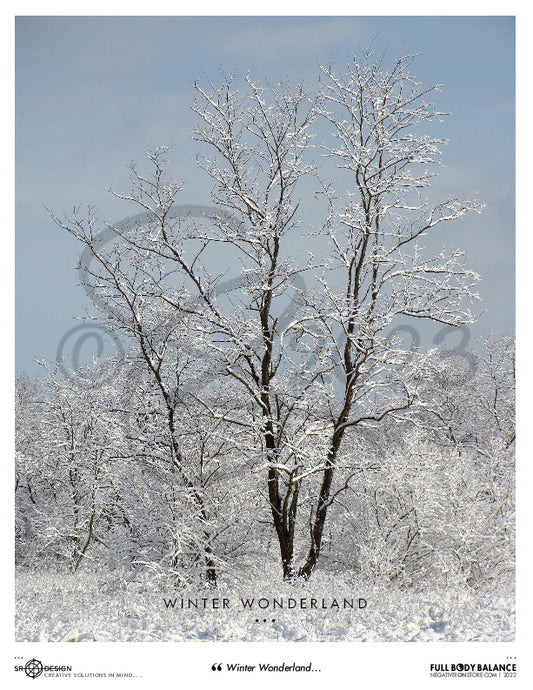 SR Designs  |  Winter Wonderland Photo by Steve Roberts